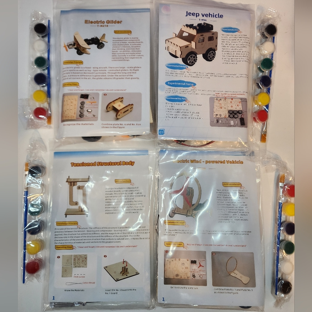STEM 4 Set  Kit,Wooden Model Electric Vehicle & Structural Science Experiment